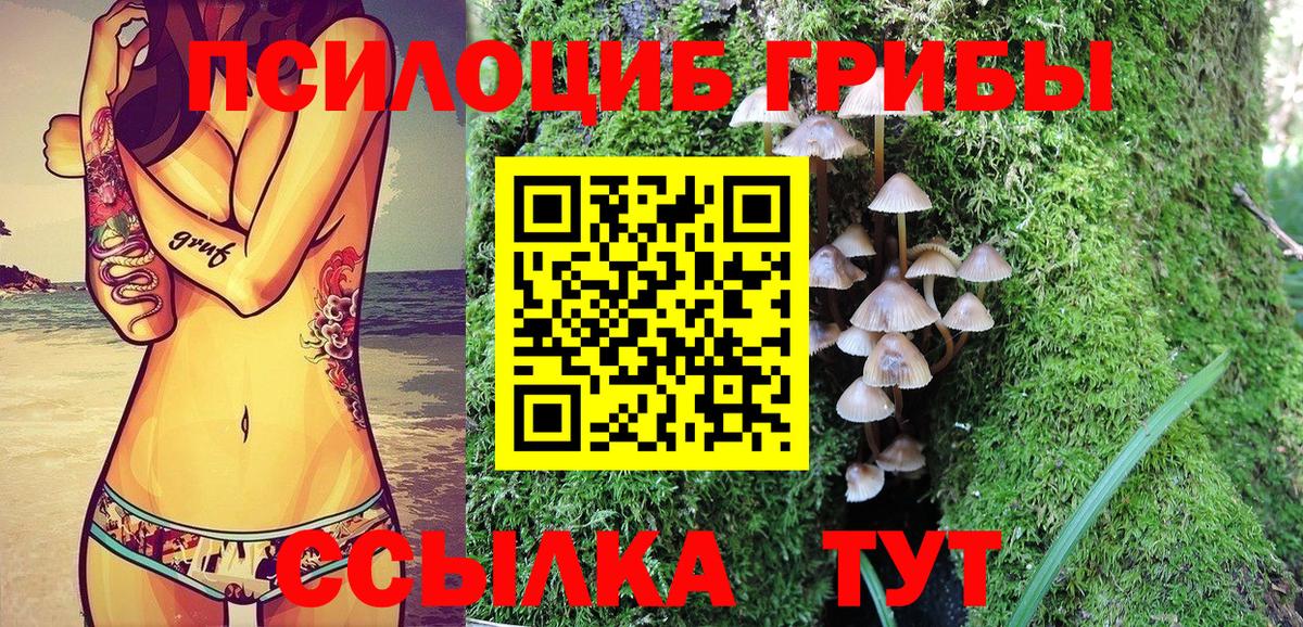 Псилоцибиновые грибы MAGIC MUSHROOMS  Псилоцибиновые грибы мицелий  Вход с VPN  Нижнеудинск 