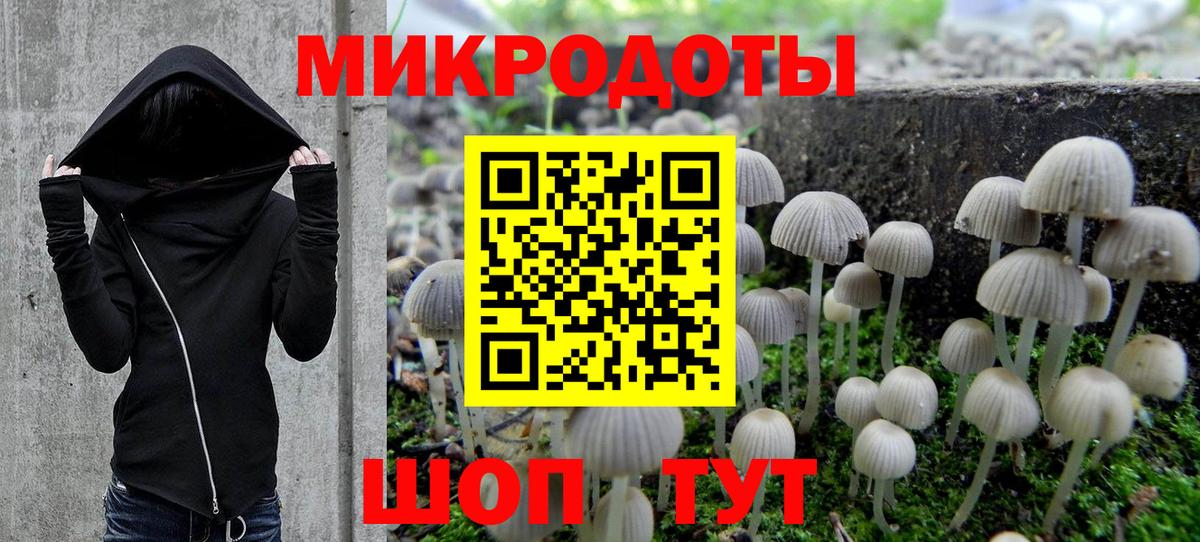 Псилоцибиновые грибы мухоморы Нижнеудинск